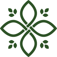logo-youn-ha-solena-couleur-vert-sapin-version-mini-web