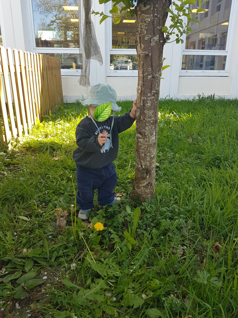 photo-enfants-micro-creche-jardin