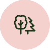 picto-arbre